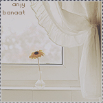 banaat-257af2e56f.jpg