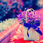 banaat-290d271f90.gif