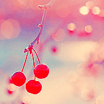 banaat-39b73daa52.gif