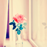banaat-408cac0154.gif