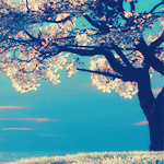 banaat-48e262769d.gif