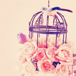 banaat-4c5b8e6337.gif