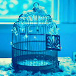 banaat-58a6b73527.gif