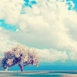 banaat-60e23130fb.gif