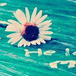 banaat-6df81a3ef0.gif
