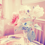 banaat-93f39d2590.gif
