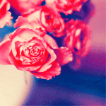 banaat-9553c05acd.gif