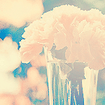 banaat-a0107a7cbb.gif