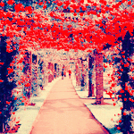 banaat-a1f7deb221.gif