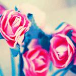 banaat-cb6e0443bb.gif