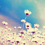 banaat-d4d38d1b23.gif