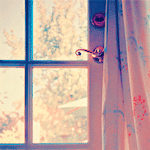 banaat-d83fccd54a.gif