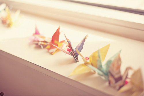 ���� ���� ������ �� ���� ������