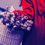 banaat-e2b270d9d7.gif