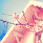 banaat-f7f91b8a53.gif